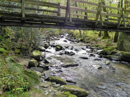 62.-Looking-upstream-beneath-Heddon-Valley-ROW-Bridge-B-2