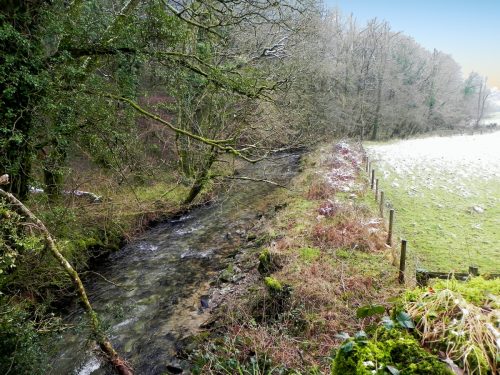 62.-Looking-upstream-from-Quarme-Bridge-2