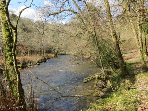 62.-Upstream-from-Hele-Bridge-19