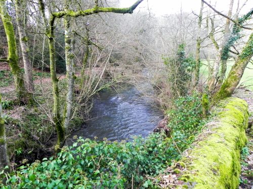 62.-Upstream-from-Tuckingmill-Railway-Bridge-2