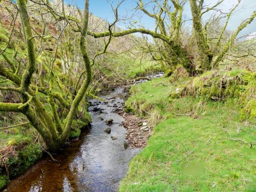 62.-Upstream-from-Willingford-Farm-2