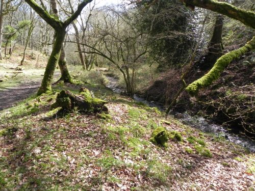 62.-Upstream-from-join-with-Shillett-Combe