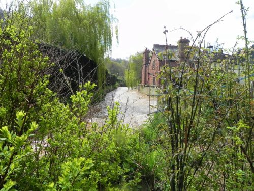 63.-Downstream-from-Yea-Farm-Bridge-2