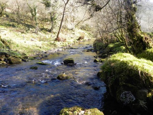 63.-Flowing-past-Anstey-Rhiney-Moor-2