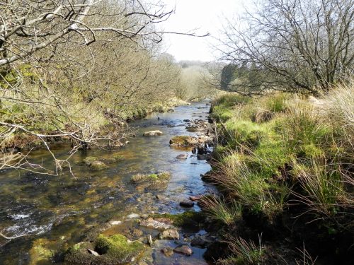 63.-Flowing-past-Cornham-Brake-2