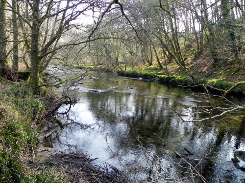 63.-Flowing-past-Mill-Ham-Wood-2