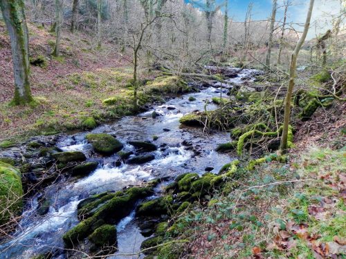 63.-Flowing-through-Combepark-2