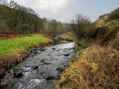 63.-Flowing-towards-Robbers-Bridge-2