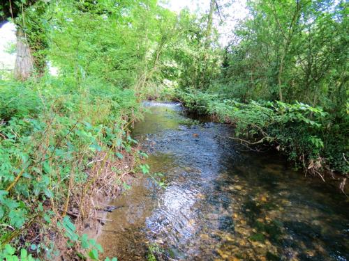 63.-Looking-downstream-from-ROW-bridge-5431-2