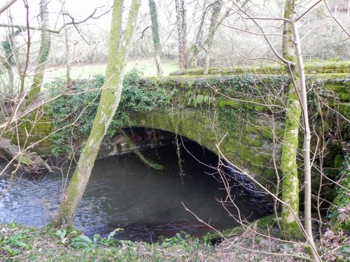 63.-Tuckingmill-Railway-Bridge-upstream-arch-2