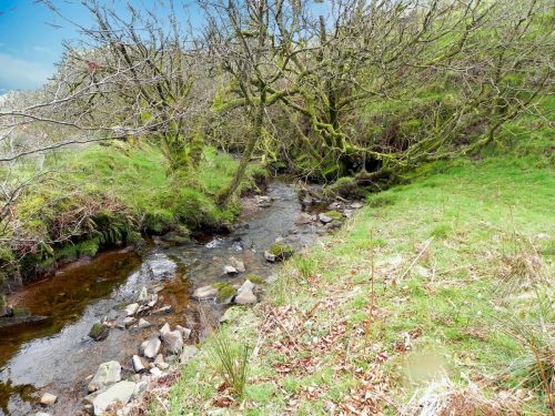 63.-Upstream-from-Willingford-Farm-2
