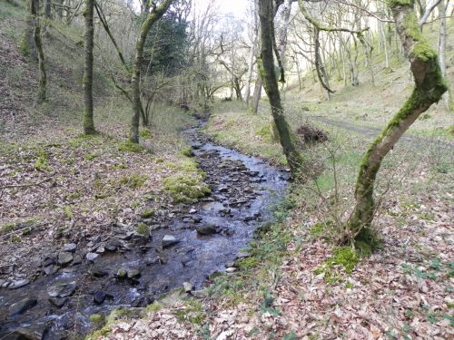 63.-Upstream-from-join-with-Shillett-Combe