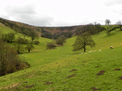 63a.-The-Punchbowl-2