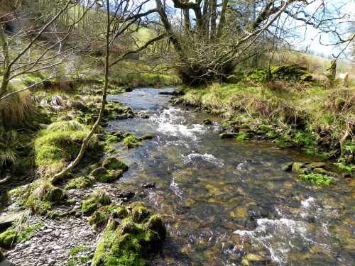 64.-Downstream-from-Sherdon-Bridge-2