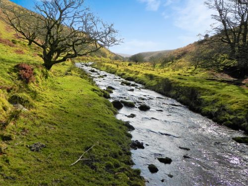 64.-Flowing-below-Furzehill-Common-2