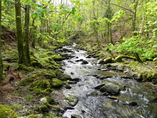 64.-Flowing-below-South-Down-2