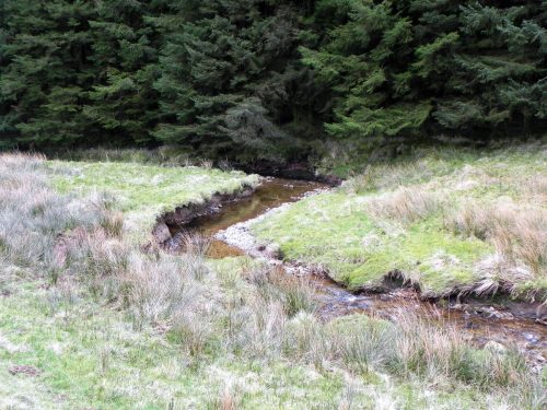 64.-Flowing-down-to-Pine-Wood-2