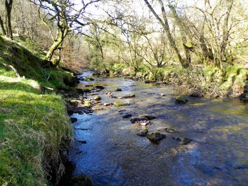 64.-Flowing-past-Anstey-Rhiney-Moor-2