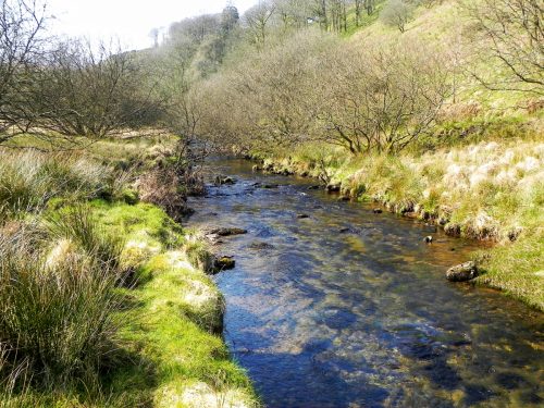 64.-Flowing-past-Cornham-Brake-2
