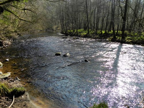 64.-Flowing-past-Mill-Ham-Wood-2