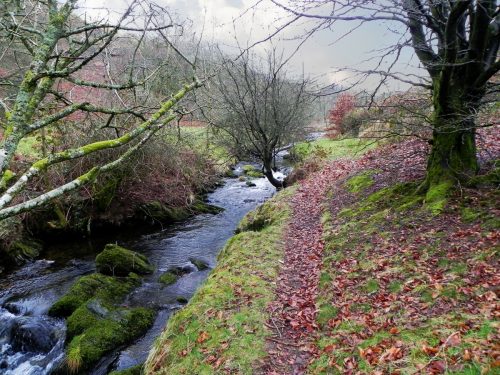 64.-Flowing-towards-Robbers-Bridge-2
