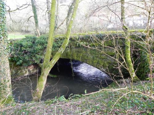 64.-Tuckingmill-Railway-Bridge-upstream-arch-2