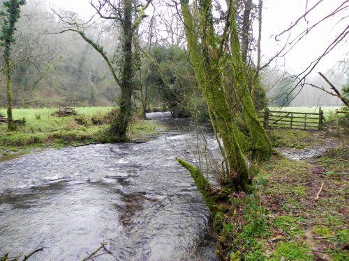 64.-Upstream-from-Bury-2