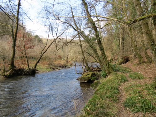 64.-Upstream-from-Hele-Bridge-17