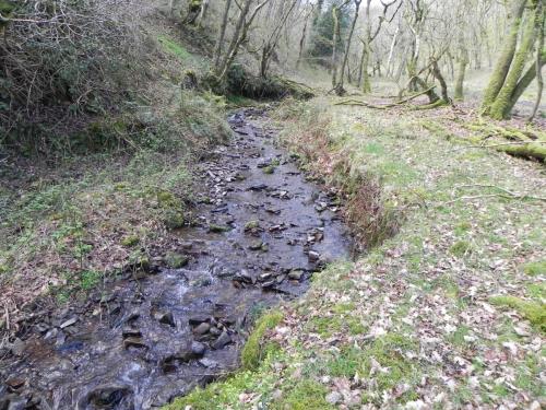 64.-Upstream-from-join-with-Shillett-Combe