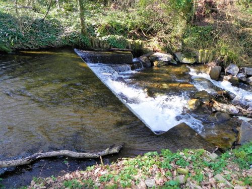 65.-Bossington-Weir-2