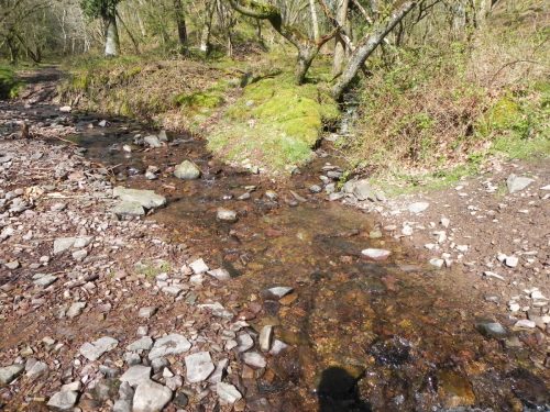 65.-Confluence-with-Shillett-Combe-Water