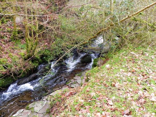 65.-Downstream-from-Cloutsham-Splash-2