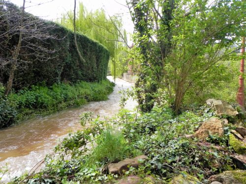 65.-Downstream-from-Yea-Farm-Bridge-2