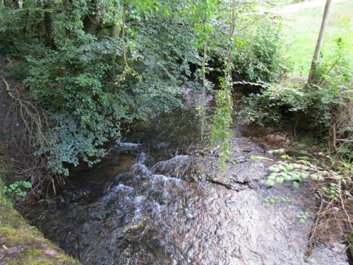 65.-Looking-upstream-from-Trace-Bridge