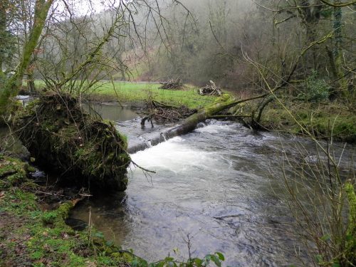 65.-Upstream-from-Bury-2