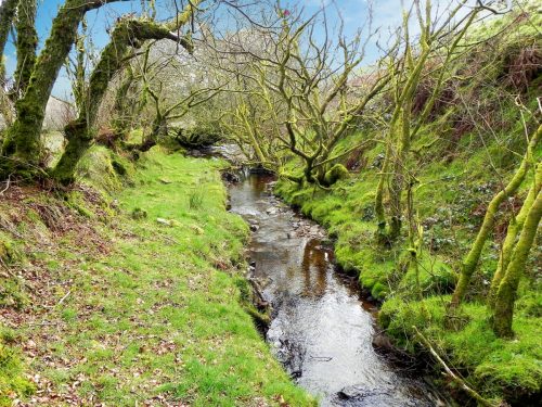 65.-Upstream-from-Willingford-Farm-2