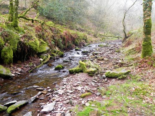 66.-Downstream-from-Cloutsham-Splash-2