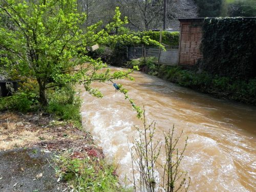 66.-Downstream-from-Yea-Farm-Bridge-2
