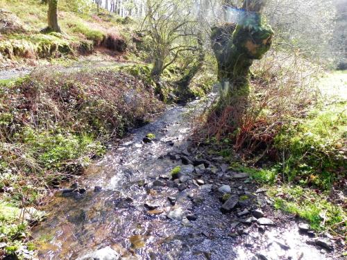 66.-Downstream-from-confluence-with-Shillett-Combe-Water-2
