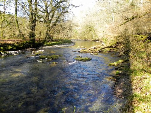 66.-Flowing-past-Dibble-Wood-2