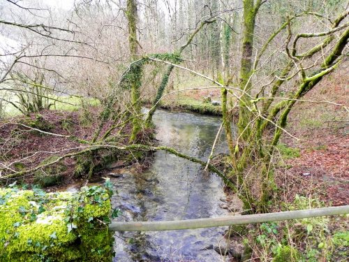 66.-Looking-downstream-from-Quarme-Bridge-2