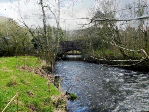 66.-Looking-downstream-from-Tuckingmill-Railway-Bridge-2