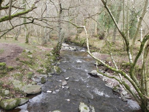 66.-Looking-upstream-from-Horner-Woods-East-Water-footbridge