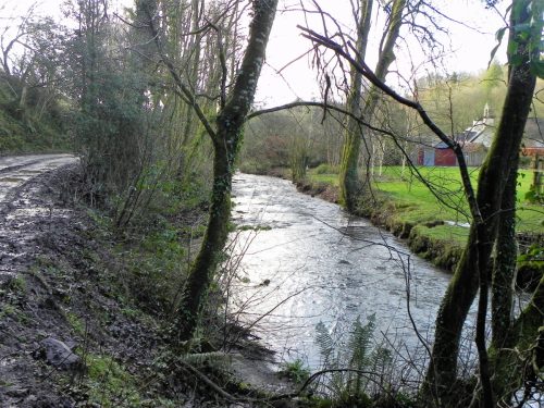 66.-Upstream-from-Bury-Bridge-2