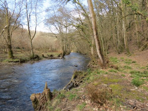 66.-Upstream-from-Hele-Bridge-15