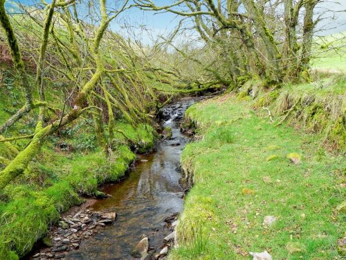 66.-Upstream-from-Willingford-Farm-2