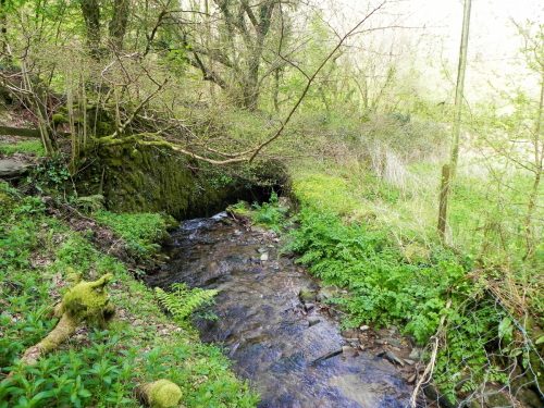 66.-Waters-join-from-Martinhoe-Cross-2