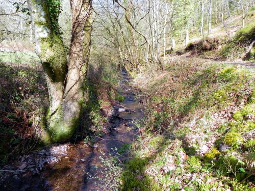 67.-Downstream-from-confluence-with-Shillett-Combe-Water-2