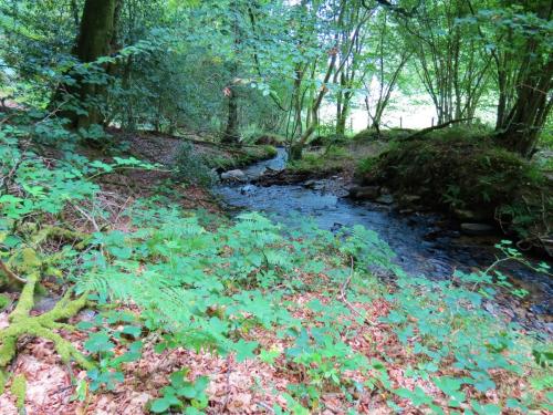 67.-Flowing-below-Stolford-Wood-2