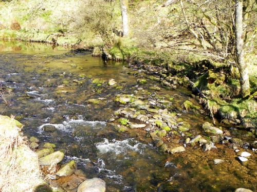 67.-Flowing-past-Anstey-Rhiney-Moor-2